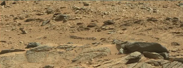 Sol 316: Mast Camera (Mastcam)