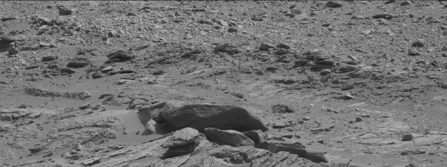Sol 316: Mast Camera (Mastcam)
