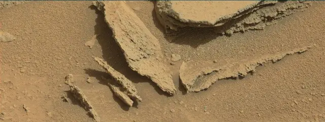 Sol 316: Mast Camera (Mastcam)