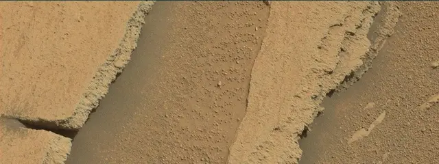 Sol 316: Mast Camera (Mastcam)