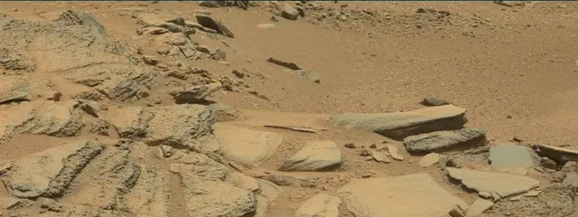 Sol 316: Mast Camera (Mastcam)