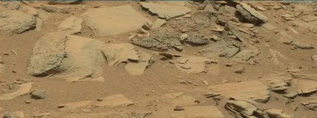 Sol 316: Mast Camera (Mastcam)