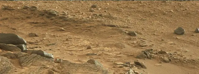 Sol 316: Mast Camera (Mastcam)