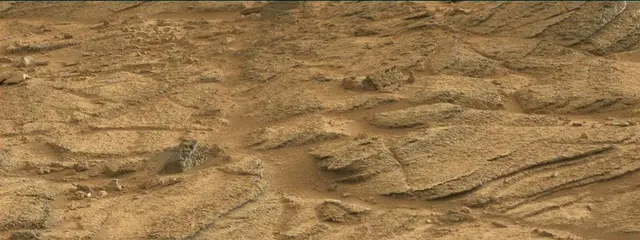 Sol 316: Mast Camera (Mastcam)