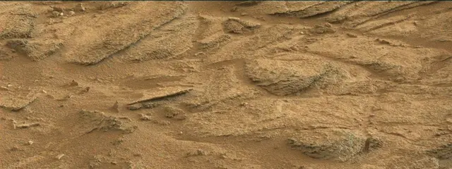 Sol 316: Mast Camera (Mastcam)
