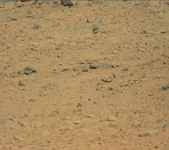 Sol 316: Mast Camera (Mastcam)