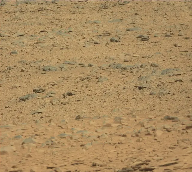 Sol 316: Mast Camera (Mastcam)