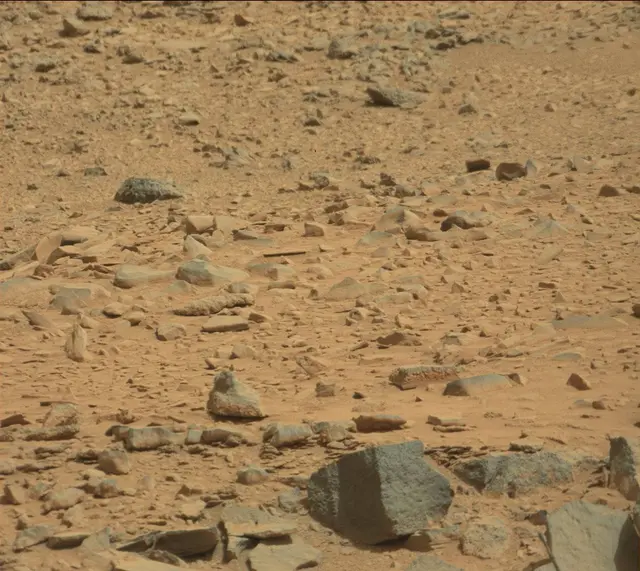 Sol 316: Mast Camera (Mastcam)