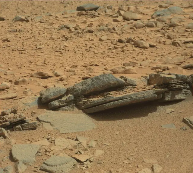 Sol 316: Mast Camera (Mastcam)