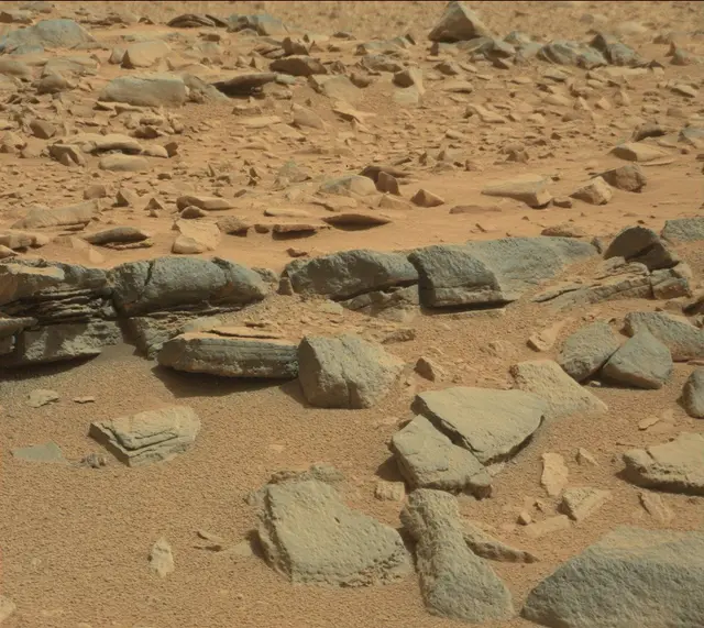 Sol 316: Mast Camera (Mastcam)