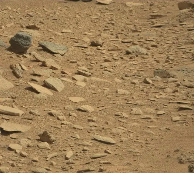 Sol 316: Mast Camera (Mastcam)