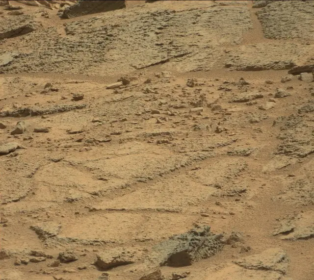 Sol 316: Mast Camera (Mastcam)