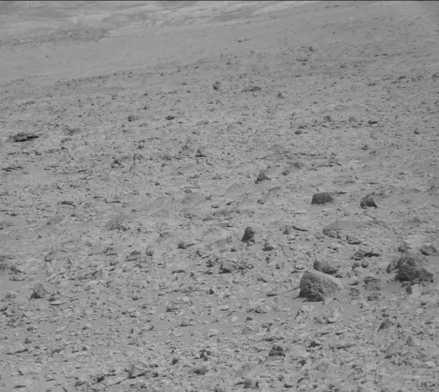 Sol 316: Mast Camera (Mastcam)