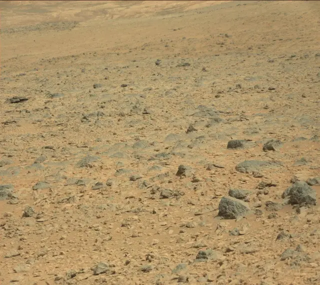 Sol 316: Mast Camera (Mastcam)