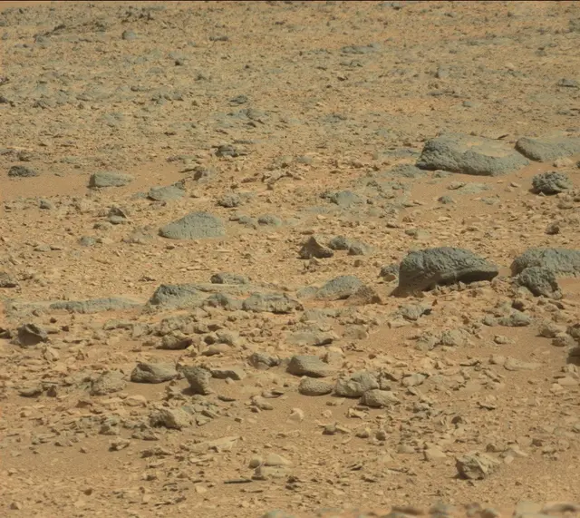 Sol 316: Mast Camera (Mastcam)