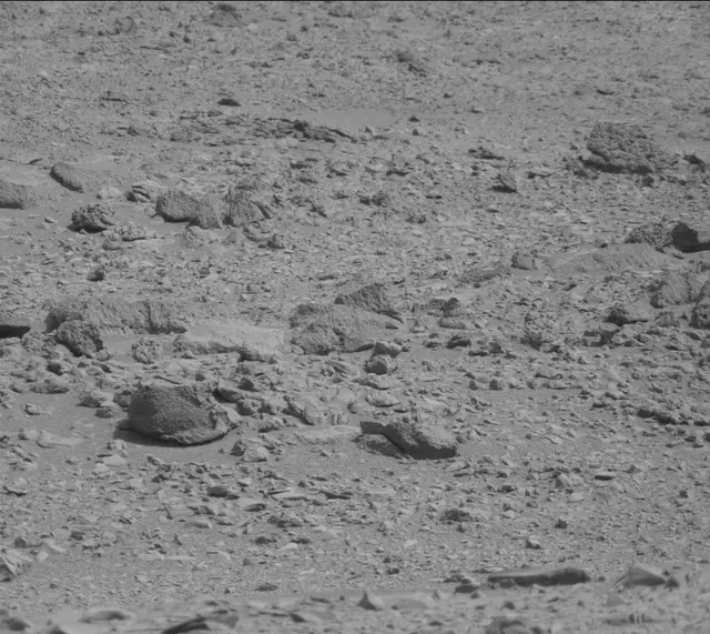Sol 316: Mast Camera (Mastcam)