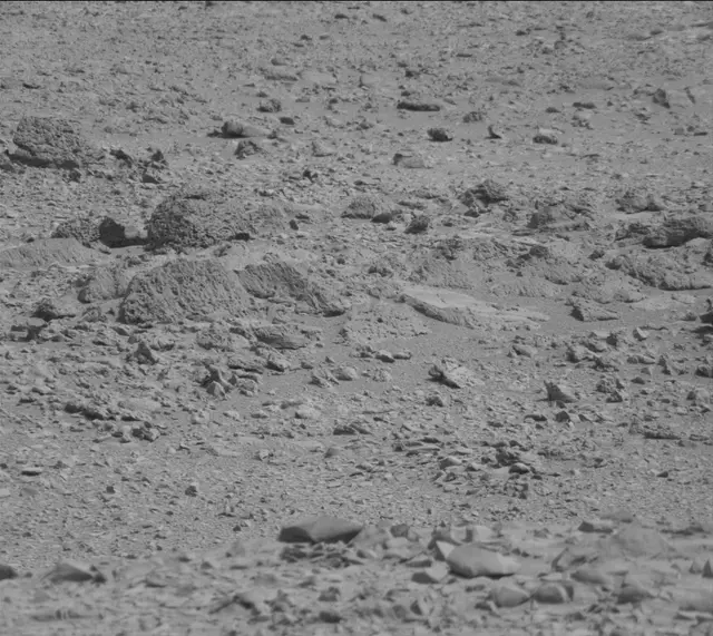 Sol 316: Mast Camera (Mastcam)