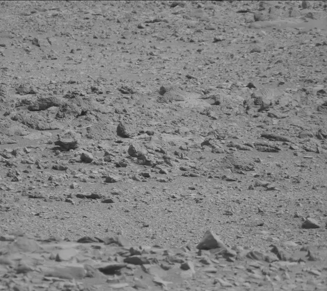 Sol 316: Mast Camera (Mastcam)