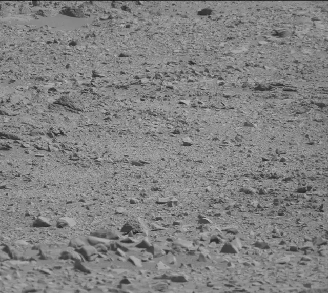 Sol 316: Mast Camera (Mastcam)