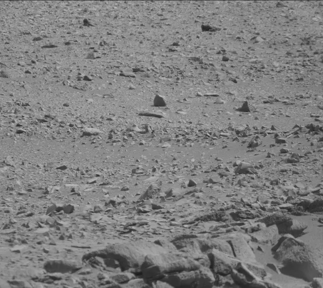 Sol 316: Mast Camera (Mastcam)
