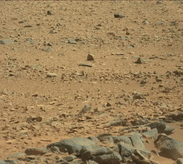 Sol 316: Mast Camera (Mastcam)