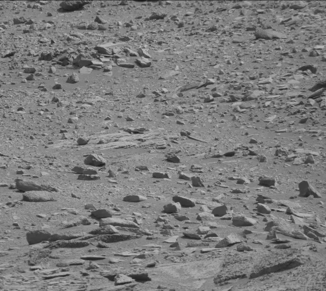 Sol 316: Mast Camera (Mastcam)