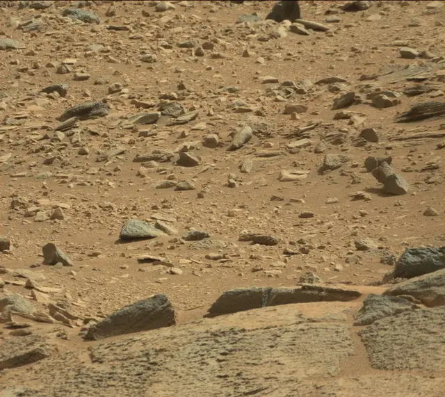 Sol 316: Mast Camera (Mastcam)
