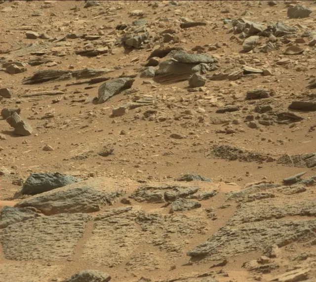 Sol 316: Mast Camera (Mastcam)