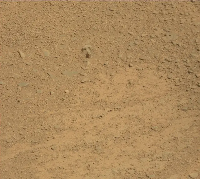 Sol 316: Mast Camera (Mastcam)