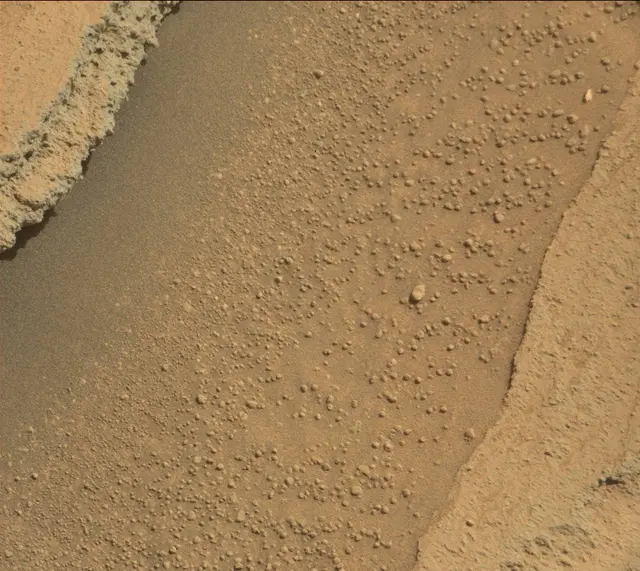 Sol 316: Mast Camera (Mastcam)