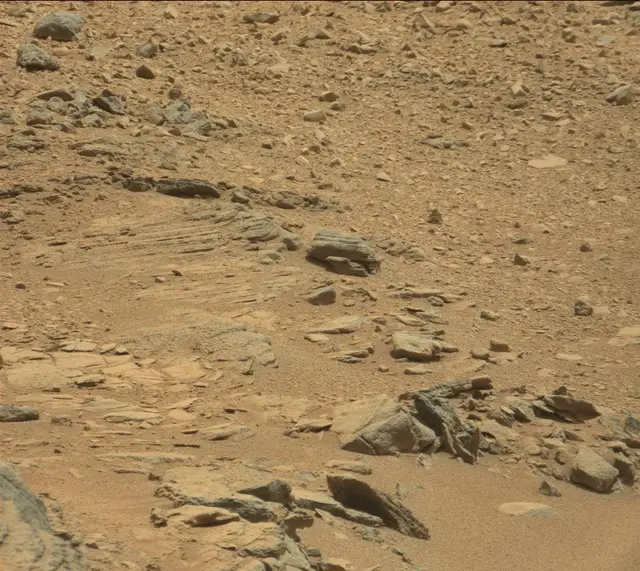 Sol 316: Mast Camera (Mastcam)