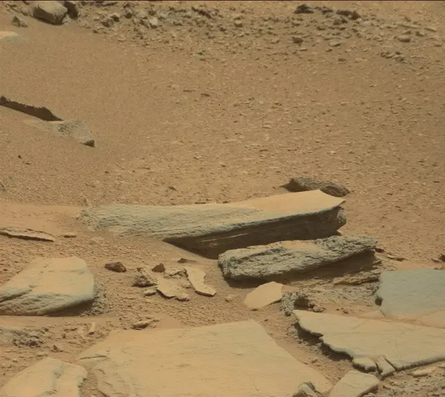 Sol 316: Mast Camera (Mastcam)