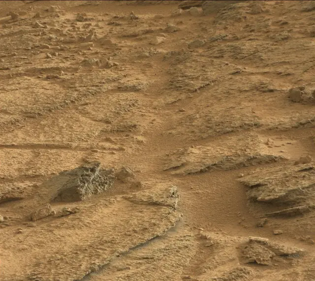 Sol 316: Mast Camera (Mastcam)