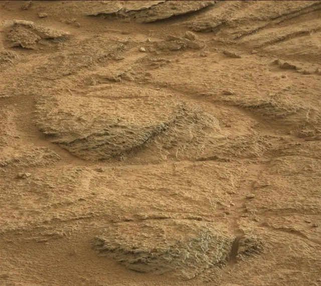 Sol 316: Mast Camera (Mastcam)