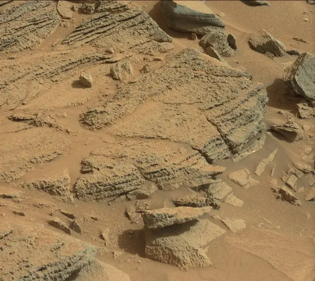 Sol 317: Mast Camera (Mastcam)