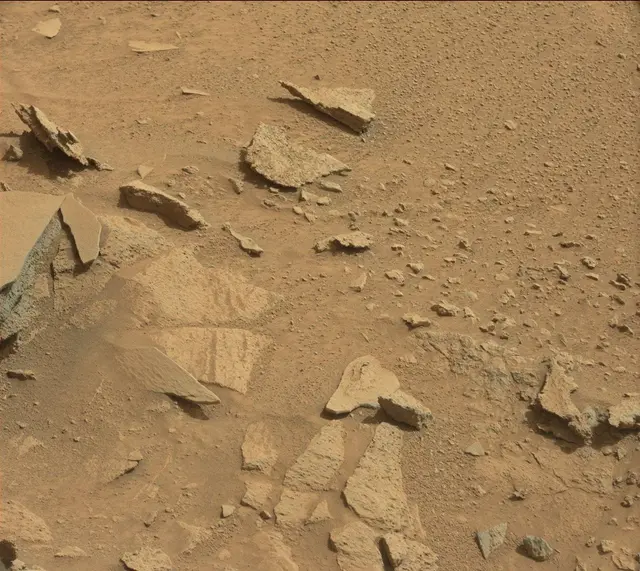Sol 317: Mast Camera (Mastcam)