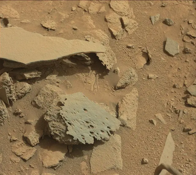 Sol 317: Mast Camera (Mastcam)