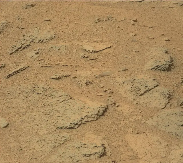 Sol 317: Mast Camera (Mastcam)