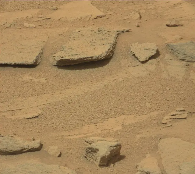 Sol 317: Mast Camera (Mastcam)