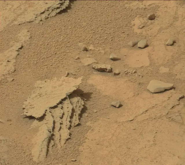 Sol 317: Mast Camera (Mastcam)