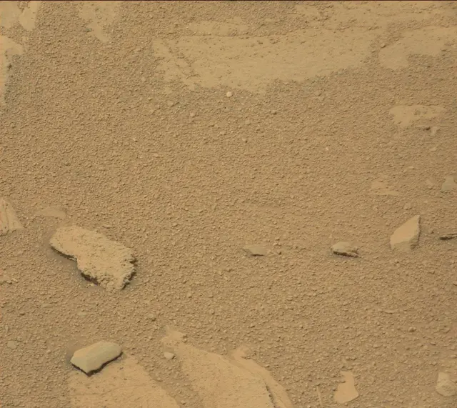 Sol 317: Mast Camera (Mastcam)