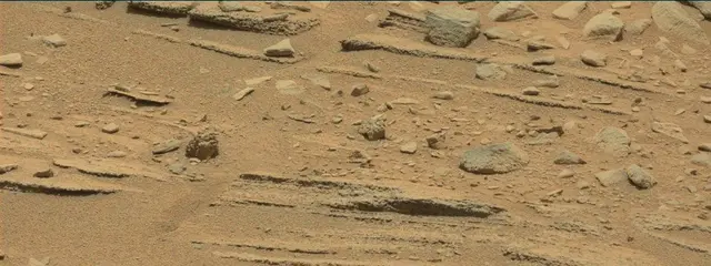 Sol 318: Mast Camera (Mastcam)