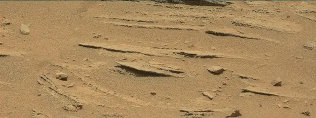Sol 318: Mast Camera (Mastcam)