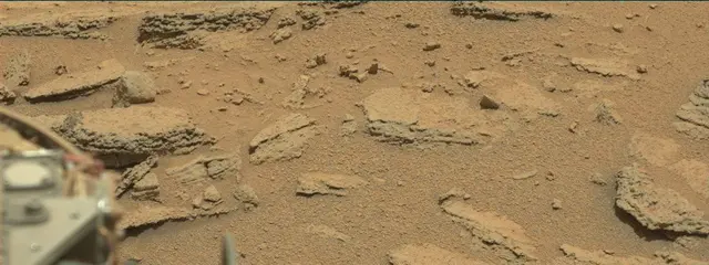 Sol 318: Mast Camera (Mastcam)