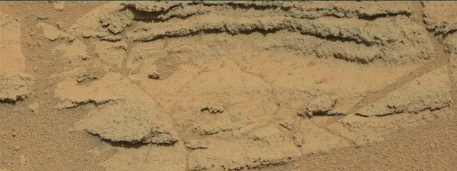Sol 318: Mast Camera (Mastcam)