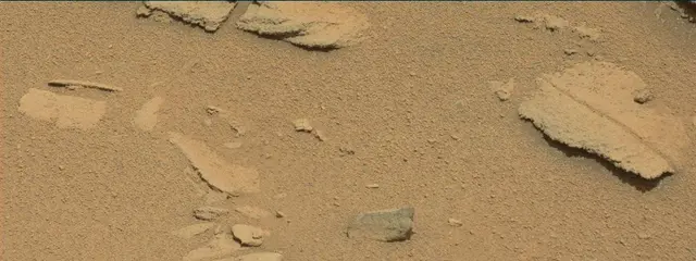 Sol 318: Mast Camera (Mastcam)