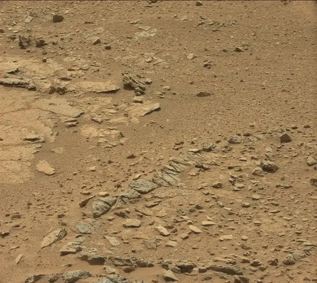 Sol 318: Mast Camera (Mastcam)