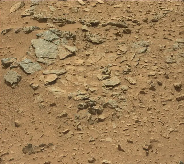 Sol 318: Mast Camera (Mastcam)