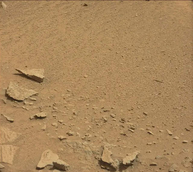 Sol 318: Mast Camera (Mastcam)