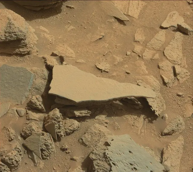 Sol 318: Mast Camera (Mastcam)